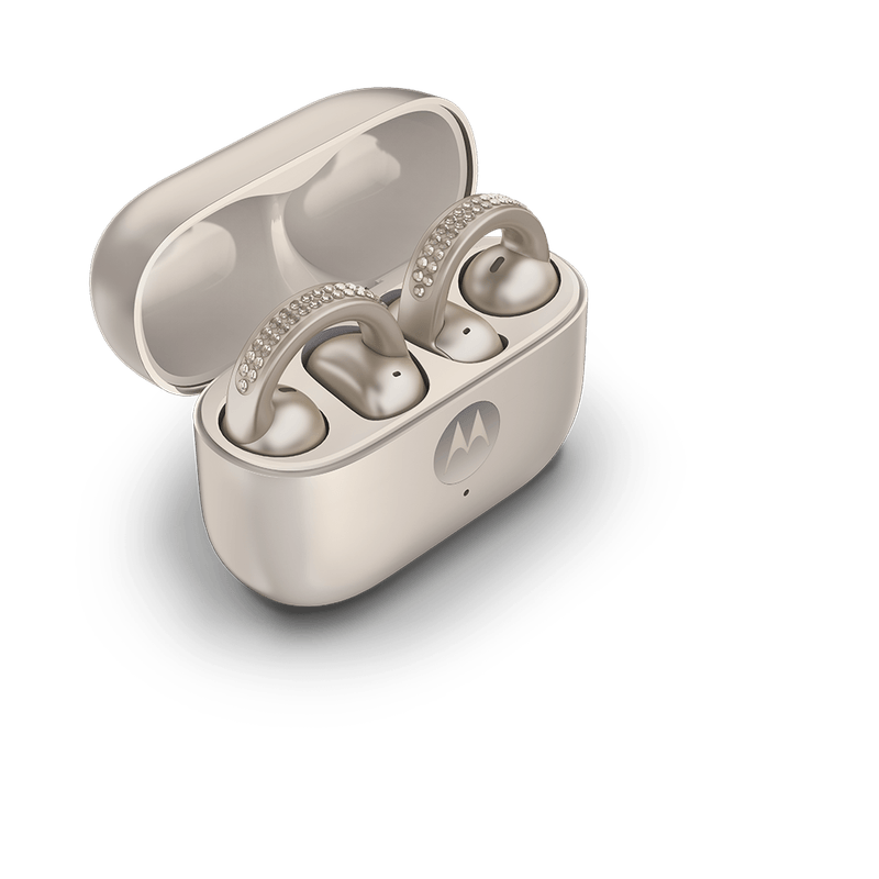 2025_OBOE_BasicPack_Case-3-4-View_Open__DORADO